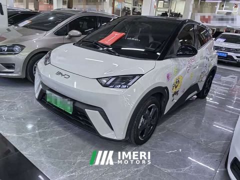 2024 BYD Seagull Glory Edition 305km Freedom Version