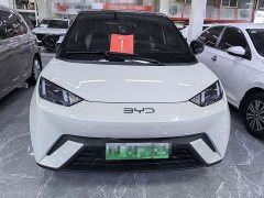 BYD Seagull Glory Edition 305km Freedom Version - ფოტო 2