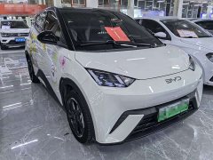BYD Seagull Glory Edition 305km Freedom Version - ფოტო 3