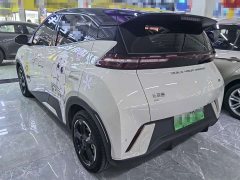 BYD Seagull Glory Edition 305km Freedom Version - ფოტო 4