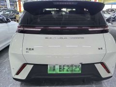 BYD Seagull Glory Edition 305km Freedom Version - ფოტო 5