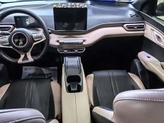BYD Seagull Glory Edition 305km Freedom Version - ფოტო 8