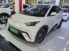 BYD Seagull Glory Edition 305km Freedom Version - ფოტო 1