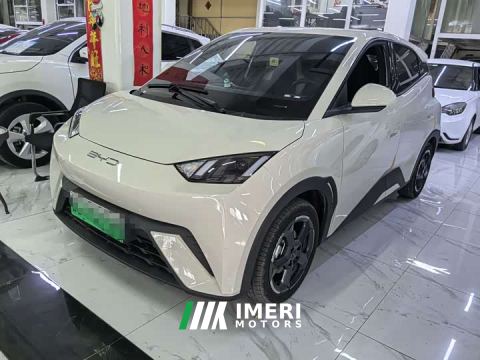 2024 BYD Seagull Glory Edition 305km Freedom Version - car from China