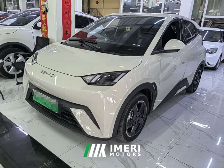 BYD Seagull Glory Edition 305km Freedom Version