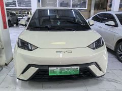 BYD Seagull Glory Edition 305km Freedom Version - ფოტო 2