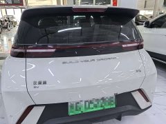 BYD Seagull Glory Edition 305km Freedom Version - ფოტო 4
