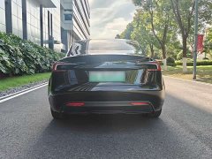 Tesla Model 3 Long Range Rear-Wheel Drive - ფოტო 7