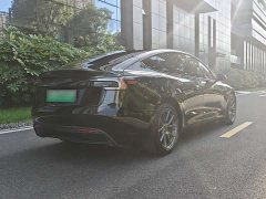 Tesla Model 3 Long Range Rear-Wheel Drive - ფოტო 8
