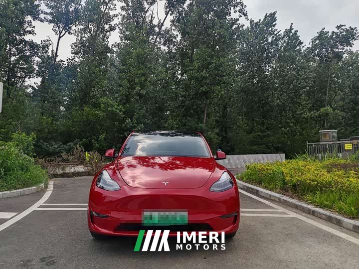 Tesla Model Y Standard Range RWD - ავტომობილი ჩინეთიდან