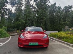Tesla Model Y Standard Range RWD - ფოტო 1