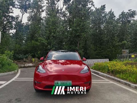 2021 Tesla Model Y Standard Range RWD - ავტომობილი ჩინეთიდან