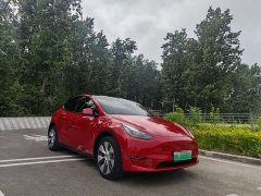 Tesla Model Y Standard Range RWD - ფოტო 3