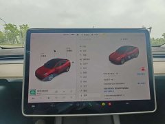 Tesla Model Y Standard Range RWD - ფოტო 5