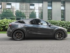 Tesla Model Y Rear-Wheel Drive - ფოტო 6