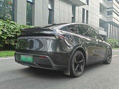 Tesla Model Y Rear-Wheel Drive - ფოტო 8
