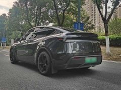 Tesla Model Y Rear-Wheel Drive - ფოტო 9