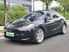 Tesla Model Y Rear-Wheel Drive - ფოტო 1