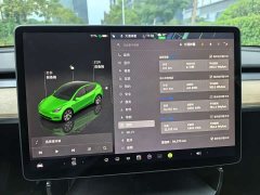 Tesla Model Y Rear-Wheel Drive - ფოტო 13