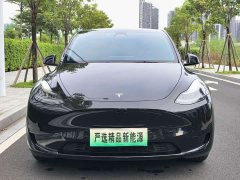 Tesla Model Y Rear-Wheel Drive - ფოტო 2