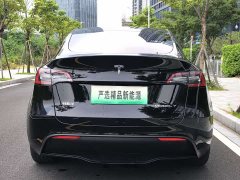 Tesla Model Y Rear-Wheel Drive - ფოტო 4