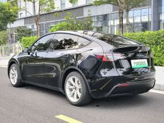 Tesla Model Y Rear-Wheel Drive - ფოტო 5