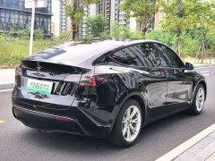 Tesla Model Y Rear-Wheel Drive - ფოტო 6