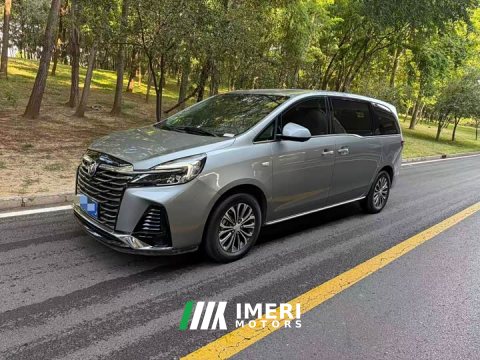 2022 Buick GL8 2023 Land Executive Cabin 652T Luxury - ავტომობილი ჩინეთიდან