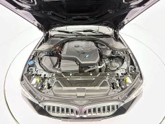 BMW 3 Series 320Li M Sport Package - ფოტო 8