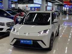 BYD Seagull 2024 Glory Edition 305km Freedom Version - ფოტო 1