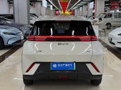 BYD Seagull 2024 Glory Edition 305km Freedom Version - ფოტო 10