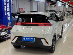 BYD Seagull 2024 Glory Edition 305km Freedom Version - ფოტო 12