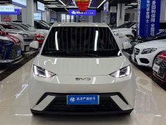 BYD Seagull 2024 Glory Edition 305km Freedom Version - ფოტო 2