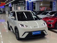 BYD Seagull 2024 Glory Edition 305km Freedom Version - ფოტო 3
