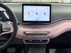 BYD Seagull 2024 Glory Edition 305km Freedom Version - ფოტო 9