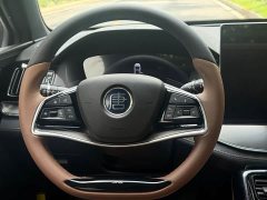 BYD Tang New Energy DM-i 112KM Premium Edition - ფოტო 10