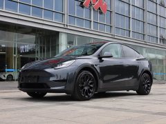 Tesla Model Y Rear-Wheel Drive - ფოტო 1
