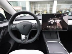 Tesla Model Y Rear-Wheel Drive - ფოტო 10