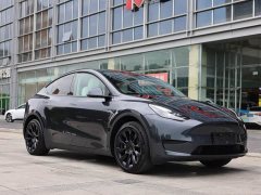 Tesla Model Y Rear-Wheel Drive - ფოტო 2