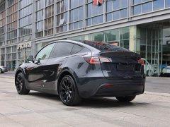 Tesla Model Y Rear-Wheel Drive - ფოტო 6