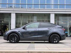 Tesla Model Y Rear-Wheel Drive - ფოტო 8