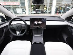 Tesla Model Y Rear-Wheel Drive - ფოტო 9