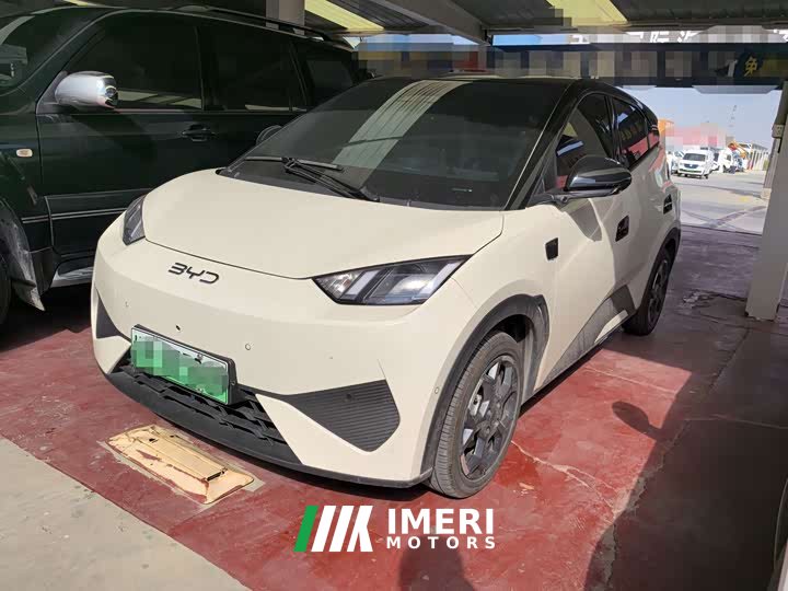 BYD Seagull Smart Drive 405km Flight Edition - ავტომობილი ჩინეთიდან