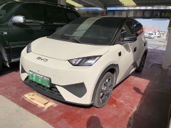 BYD Seagull Smart Drive 405km Flight Edition - ფოტო 1