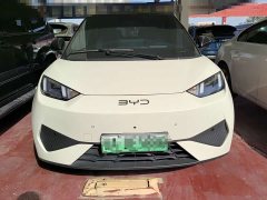 BYD Seagull Smart Drive 405km Flight Edition - ფოტო 2