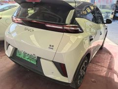BYD Seagull Smart Drive 405km Flight Edition - ფოტო 6