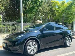 Tesla Model Y Long Range All-Wheel Drive - ფოტო 1