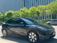Tesla Model Y Long Range All-Wheel Drive - ფოტო 2