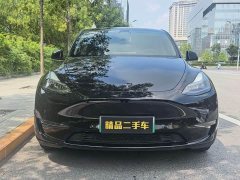 Tesla Model Y Long Range All-Wheel Drive - ფოტო 3