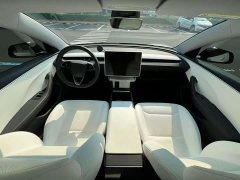 Tesla Model 3 2023 Rear-Wheel Drive - ფოტო 9